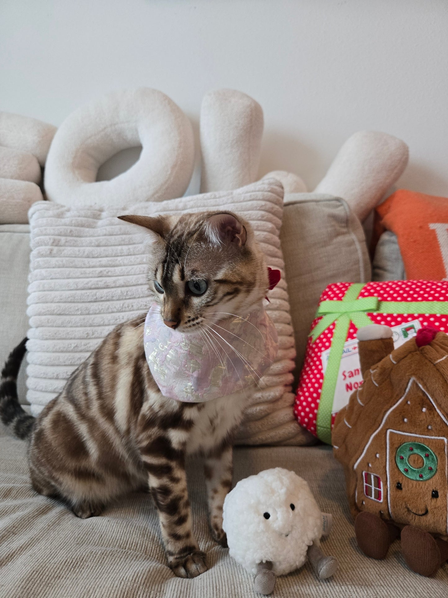 Silk Glacier Bow Collar  Pet Bandana
