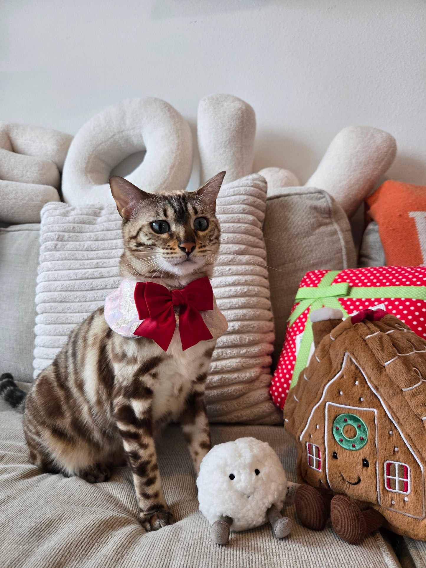 Silk Glacier Bow Collar  Pet Bandana