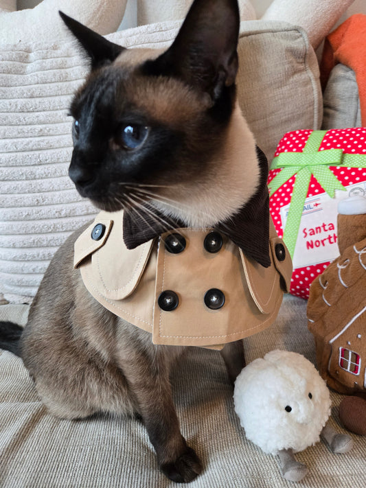 New Year’s Eve Paris Pet Trench Coat