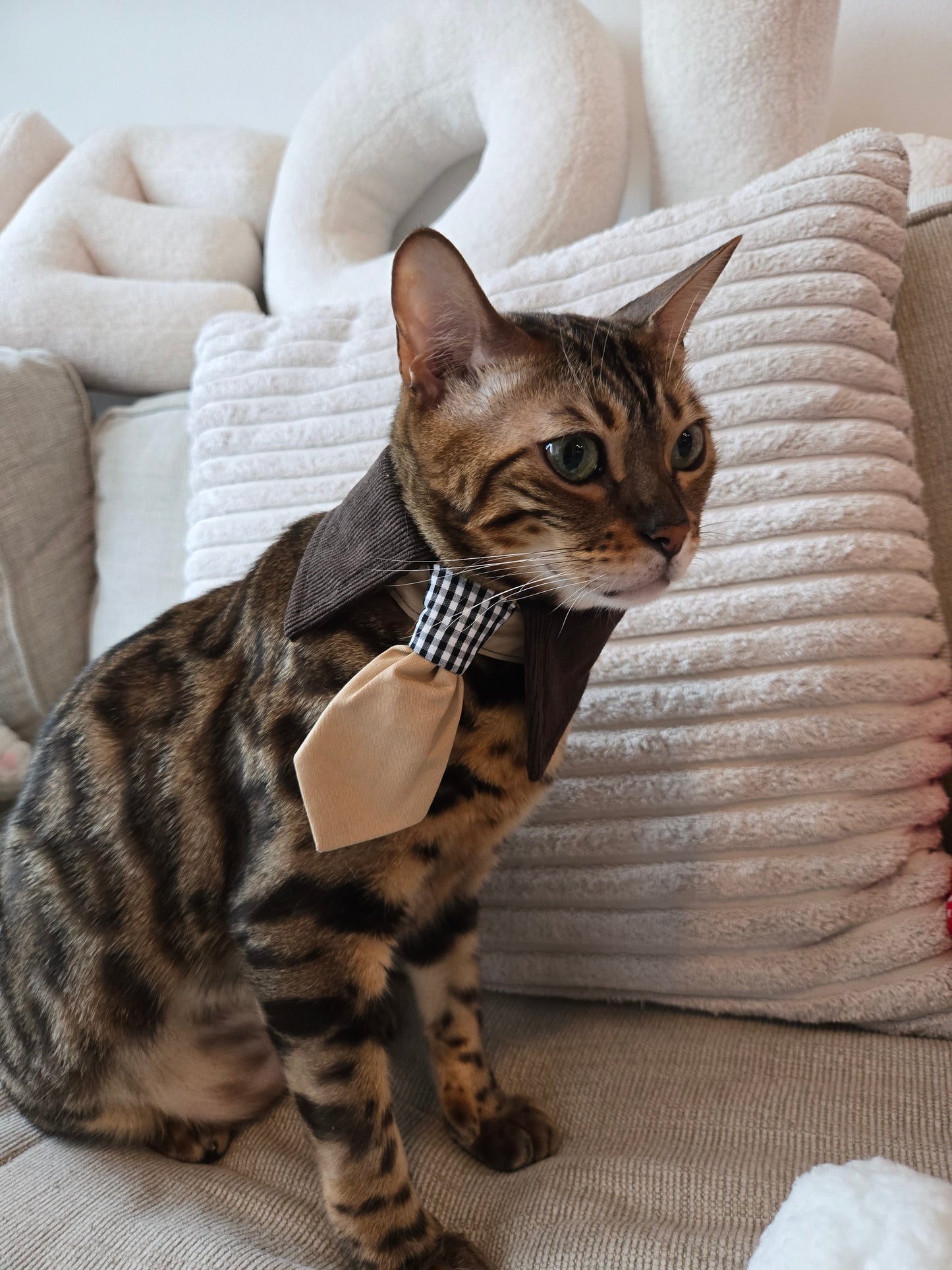 Après Glam Gentleman Bowtie Pet Collar