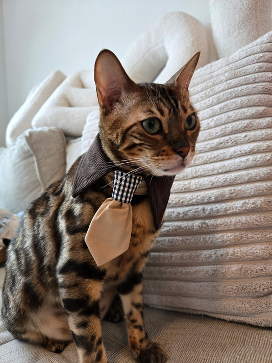 Après Glam Gentleman Bowtie Pet Collar