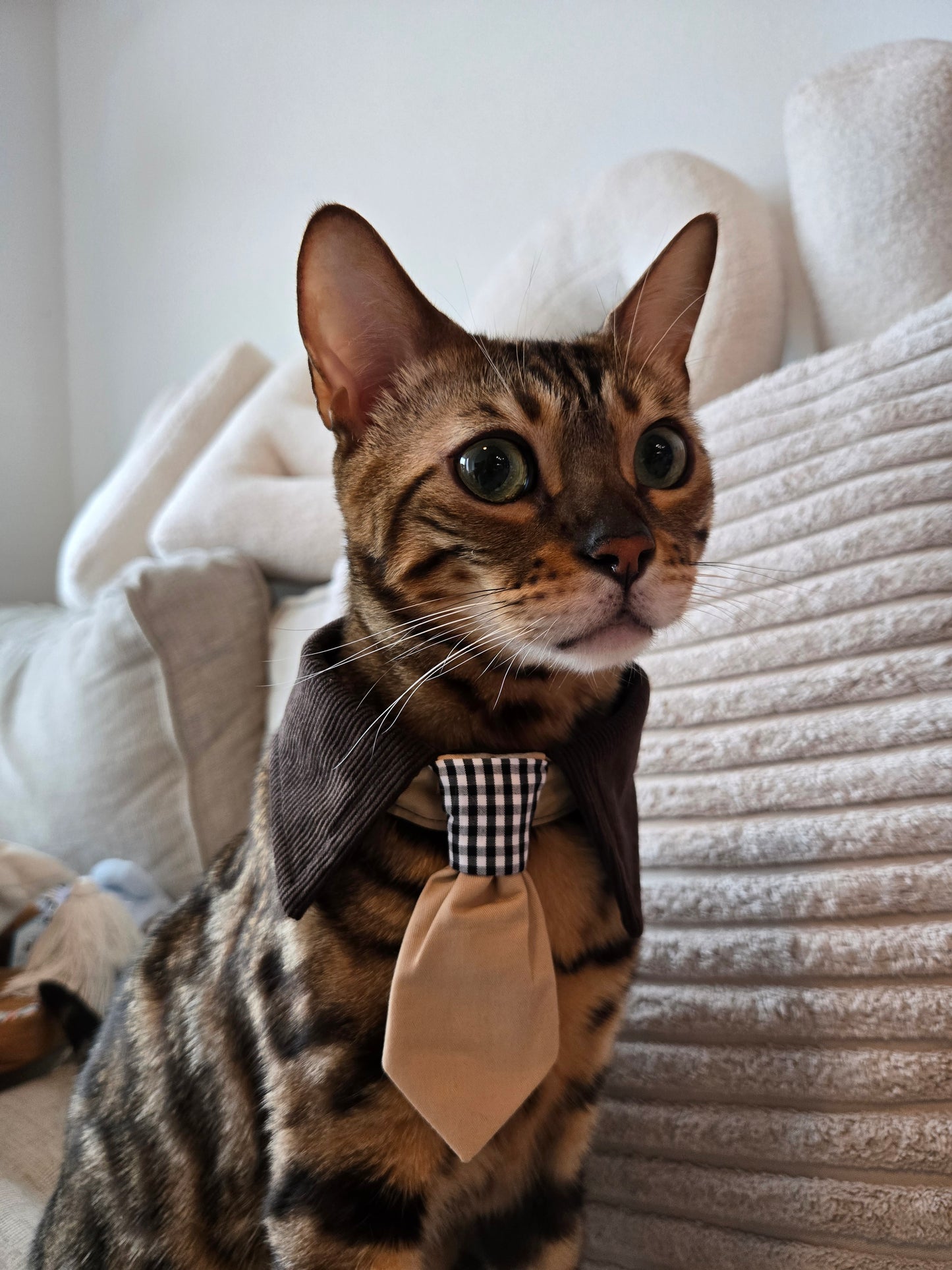 Après Glam Gentleman Bowtie Pet Collar