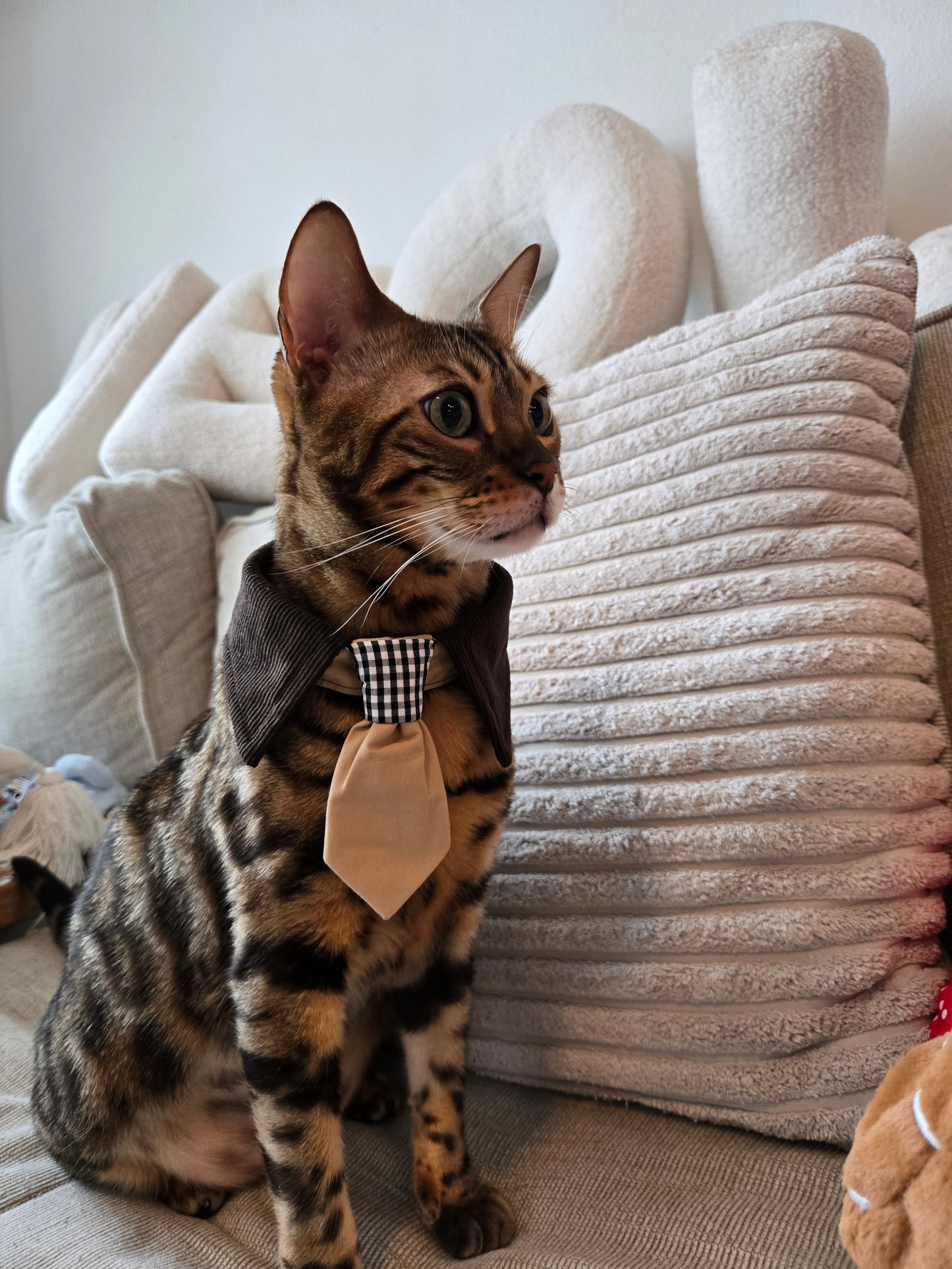 Après Glam Gentleman Bowtie Pet Collar