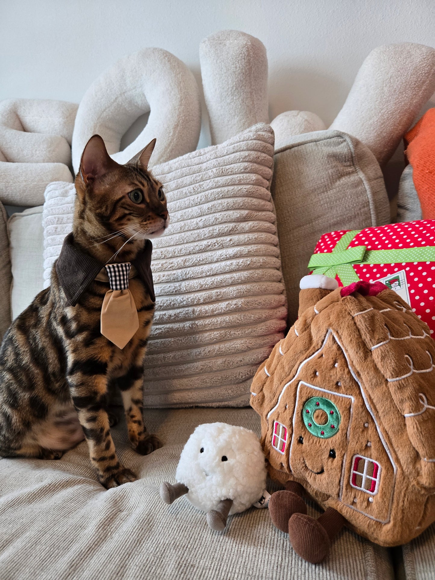 Après Glam Gentleman Bowtie Pet Collar