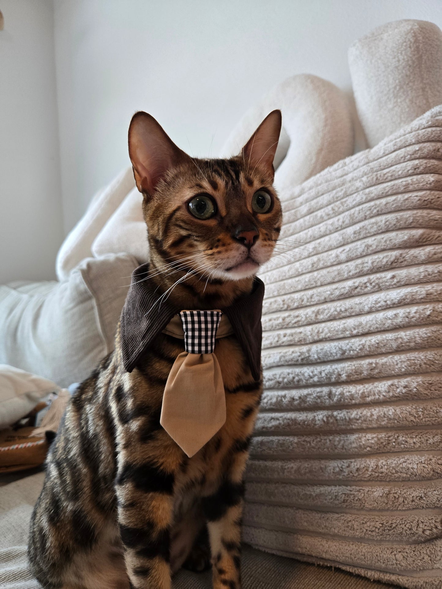 Après Glam Gentleman Bowtie Pet Collar