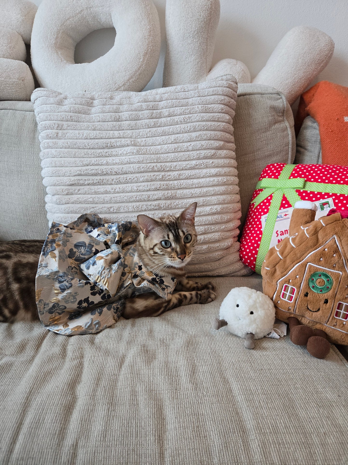 Winter Waltz Royale Pet Dress