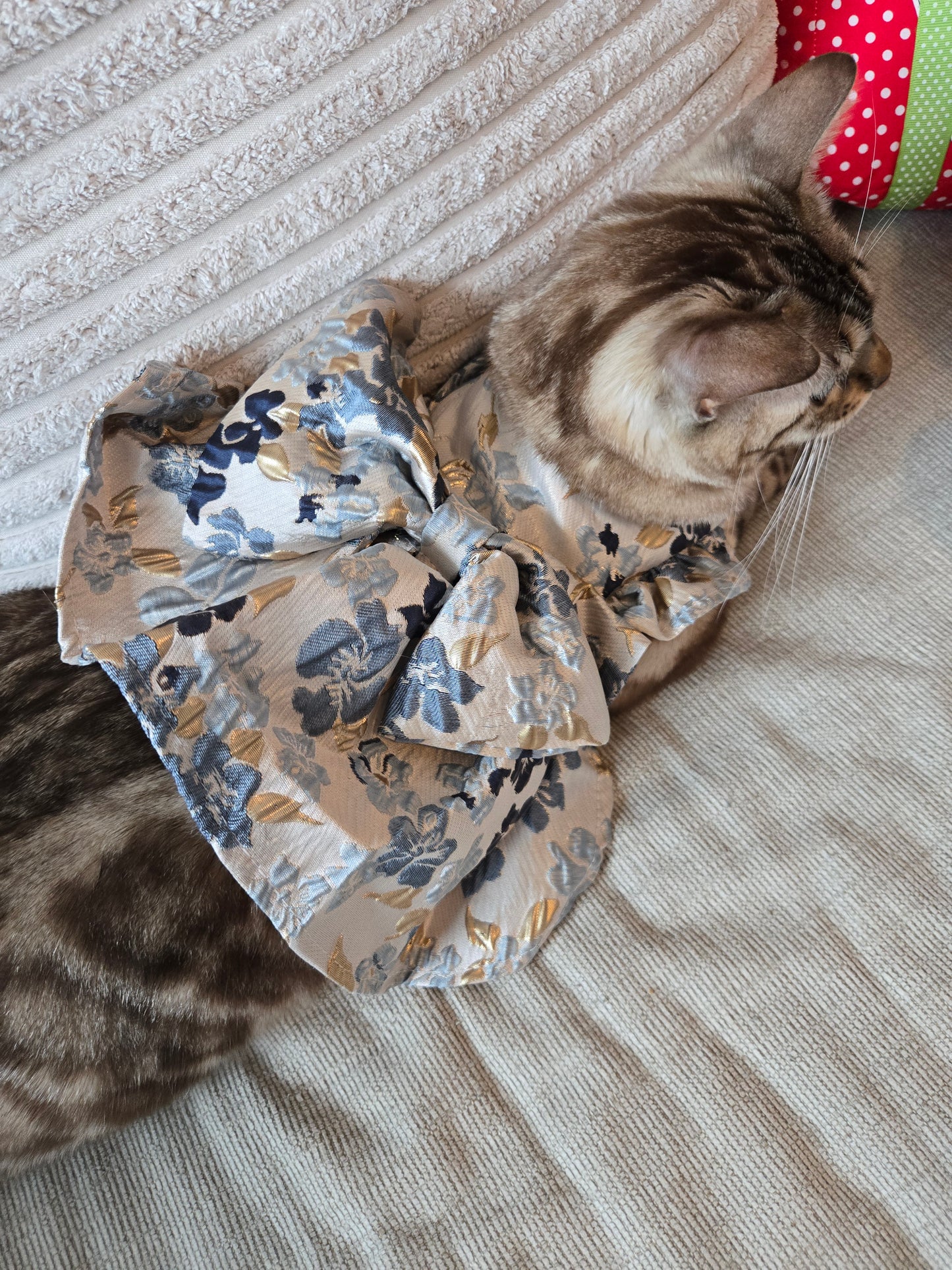 Winter Waltz Royale Pet Dress