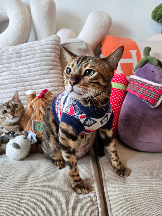 Mont Blanc Alpine Pet Sweater