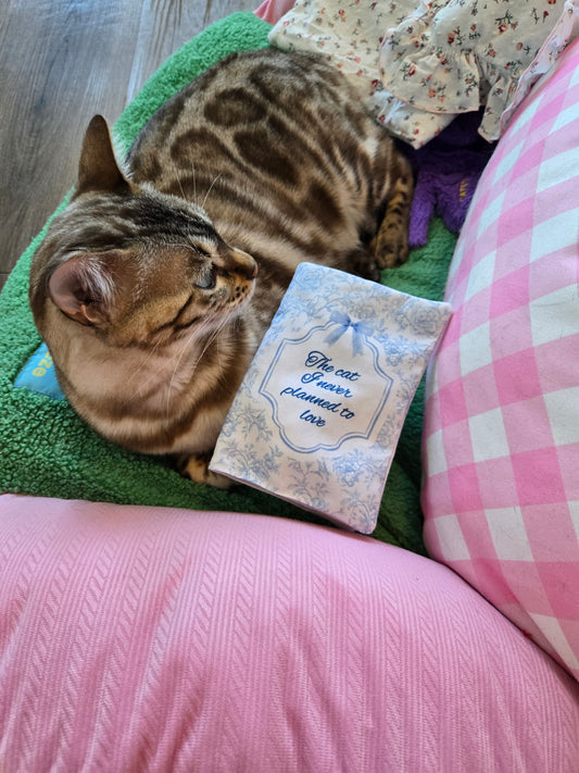 The Cat I Never Planned to Love - Crinkle Catnip Valentine Book