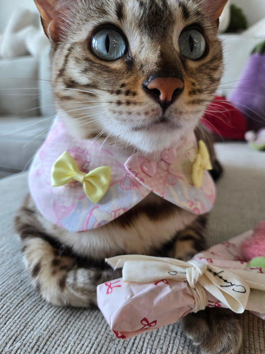 Sweetheart Cherie (4-way wear)