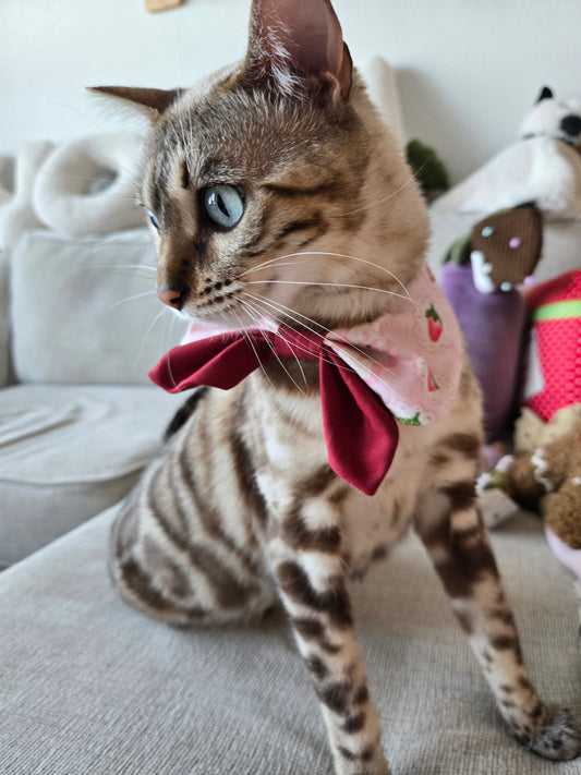 Berry Sweet Pet Bandana