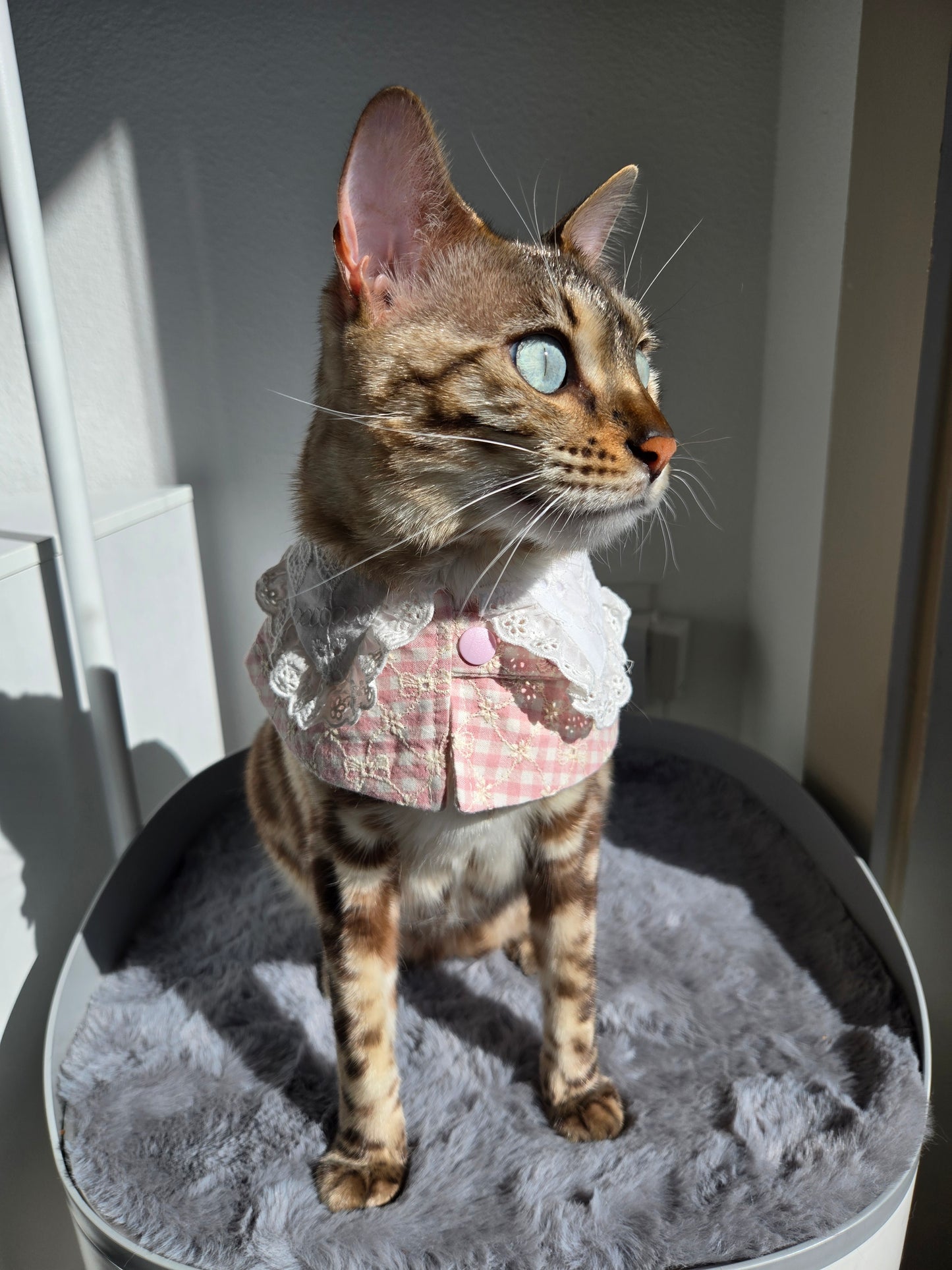 Hyacinth Pet Bandana