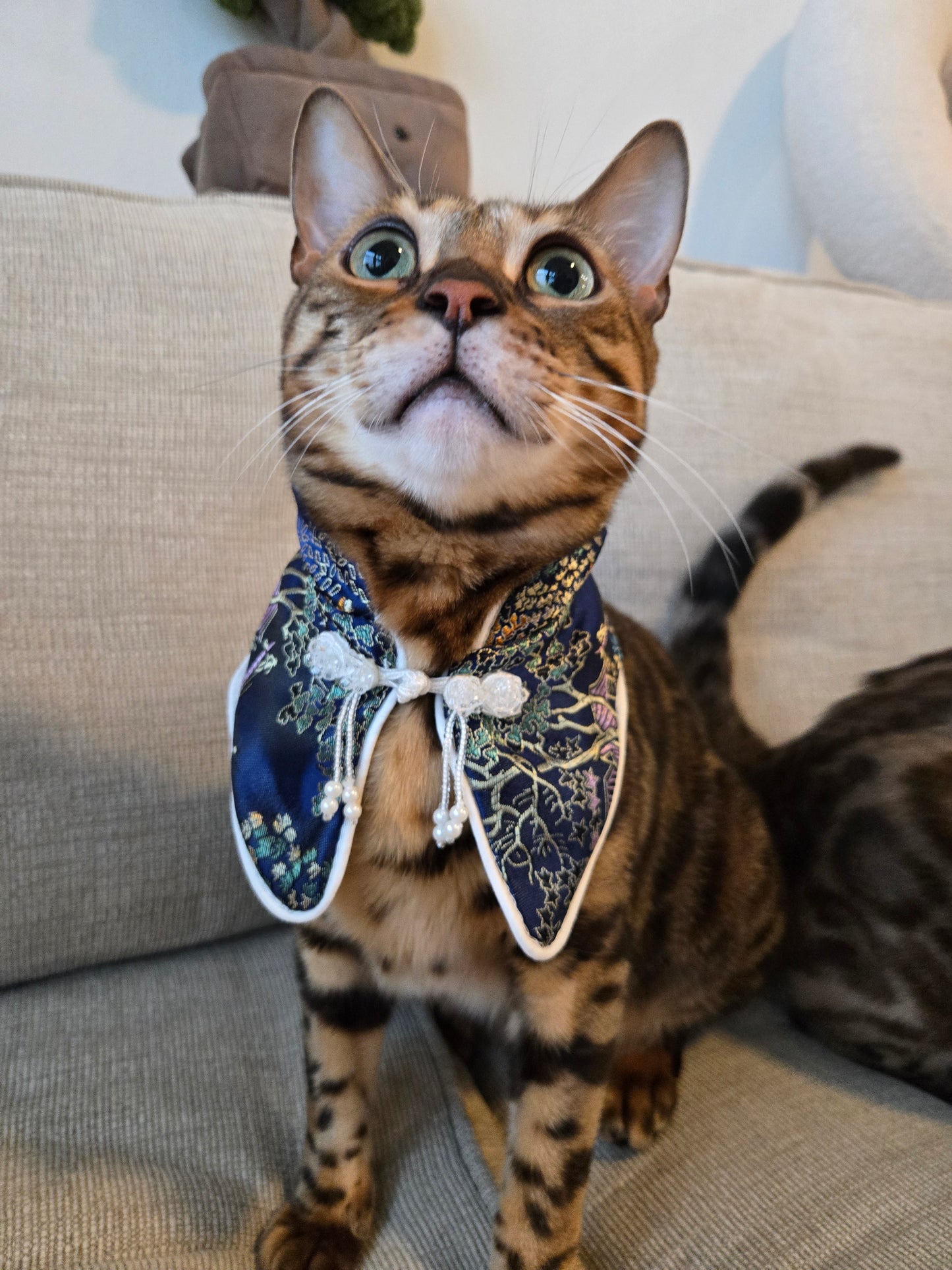 Auspicious Knot Pet Bandana (Blue)