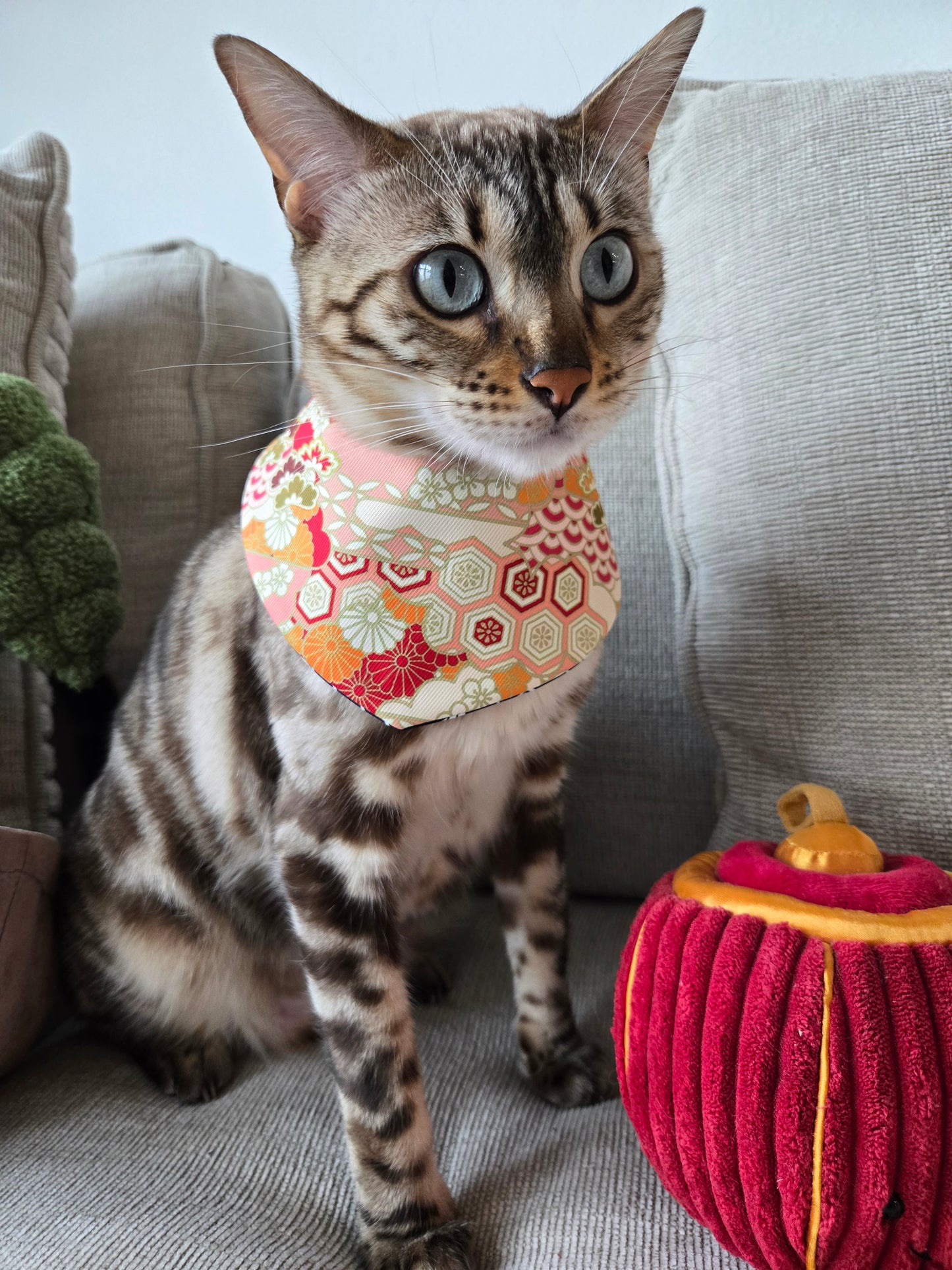 Prosperity Waves Pet Bandana (4-way wear)