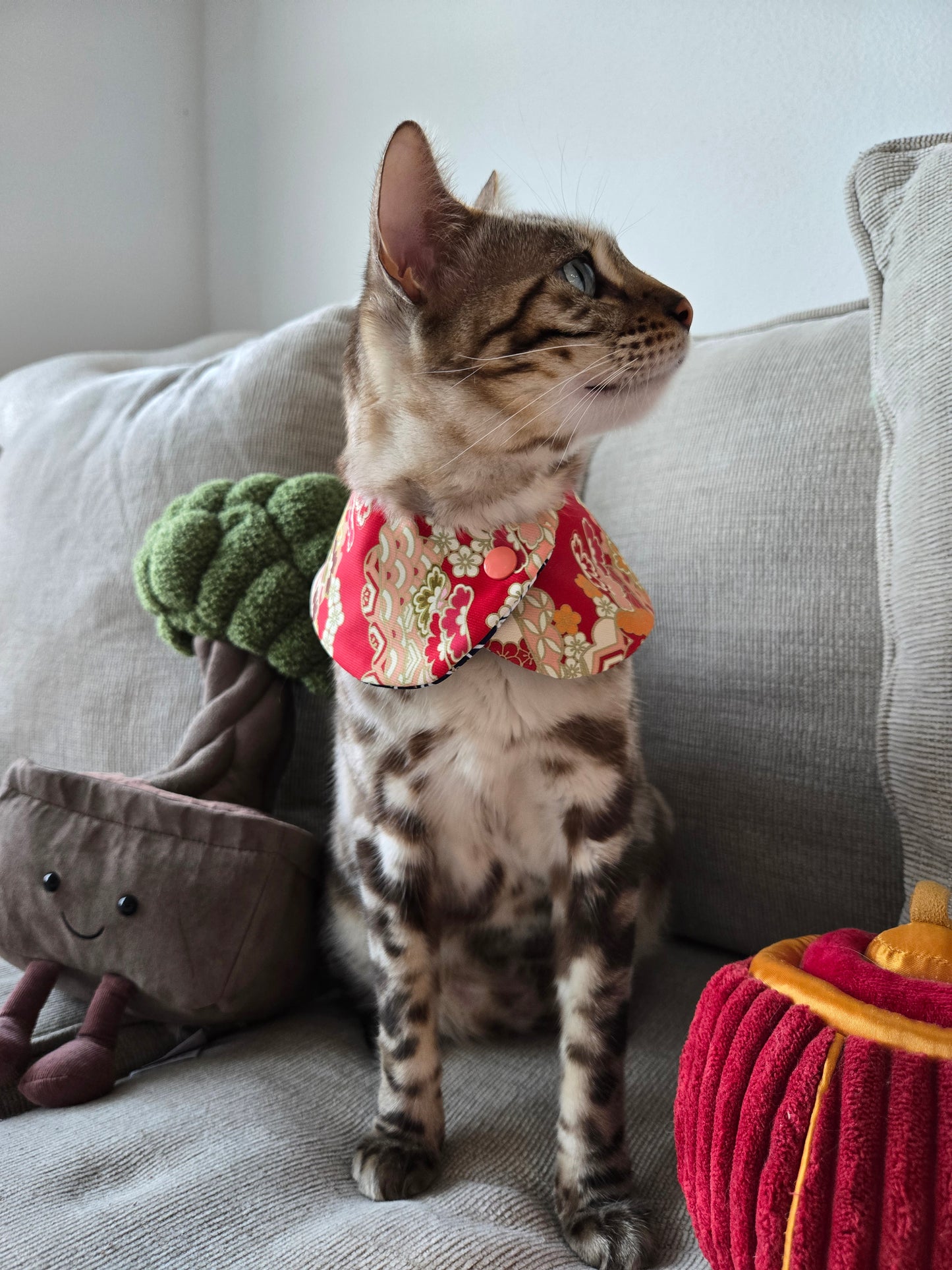 Prosperity Waves Pet Bandana (4-way wear)