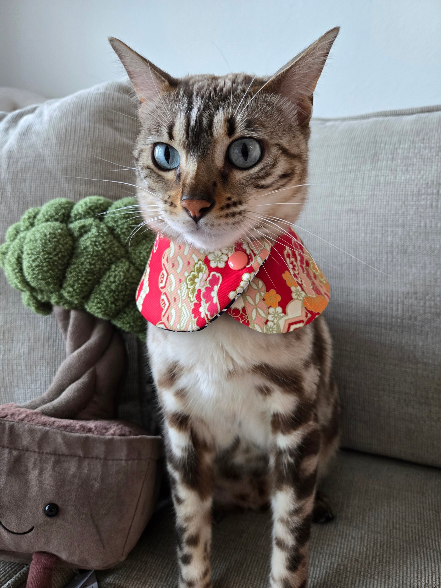 Prosperity Waves Pet Bandana (4-way wear)