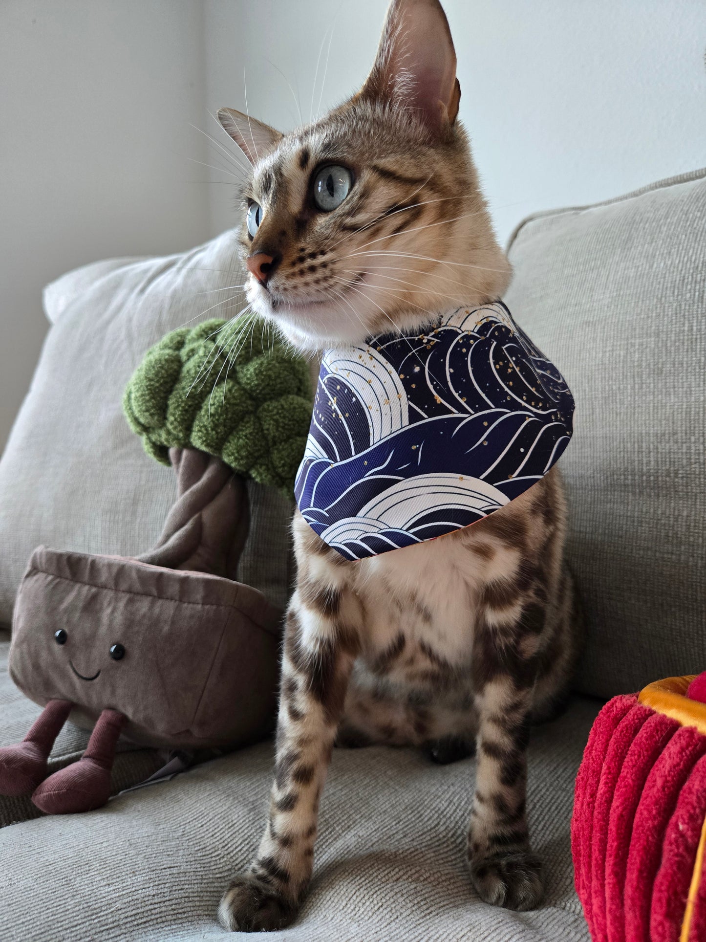 Prosperity Waves Pet Bandana (4-way wear)