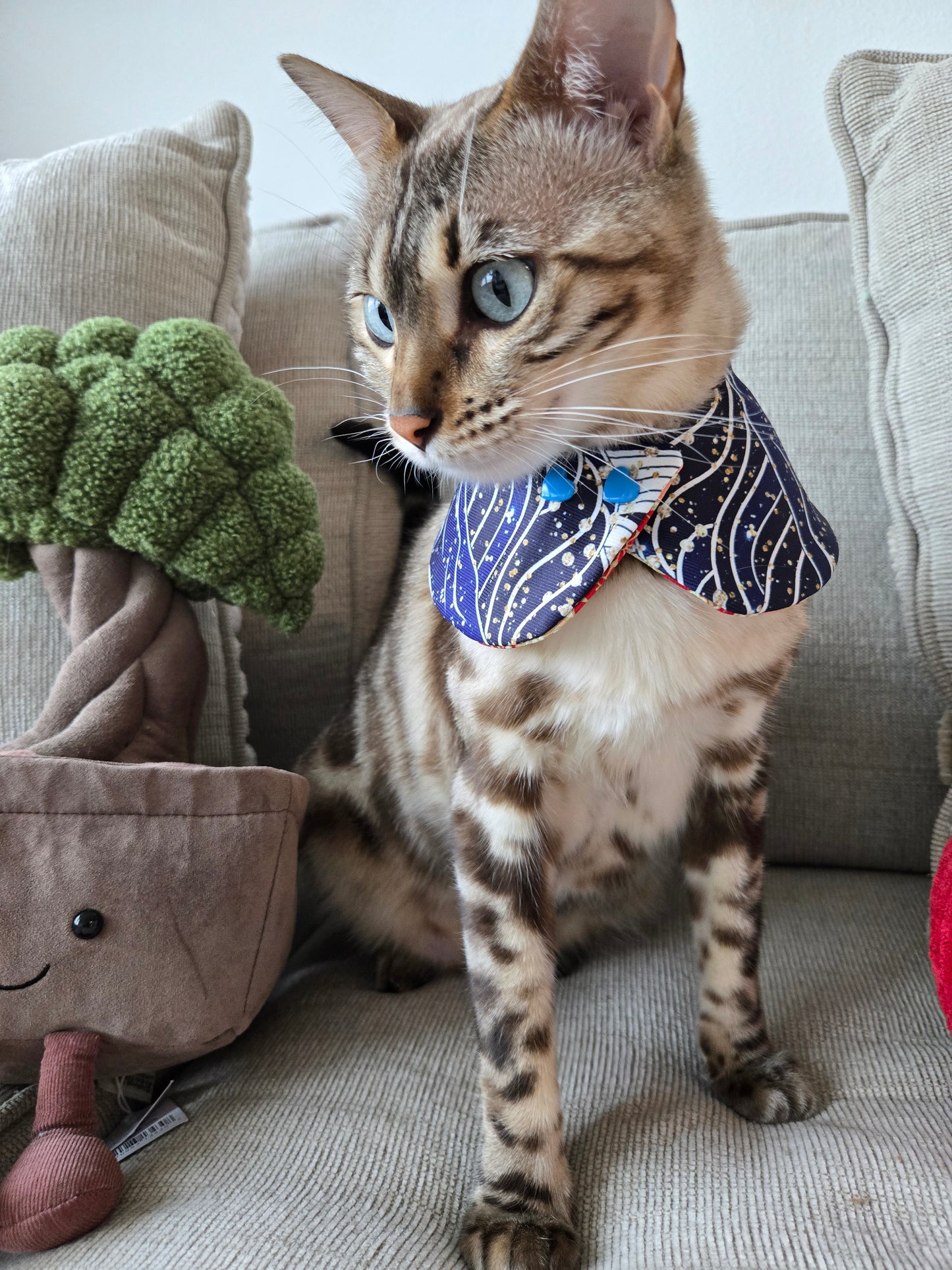 Prosperity Waves Pet Bandana (4-way wear)