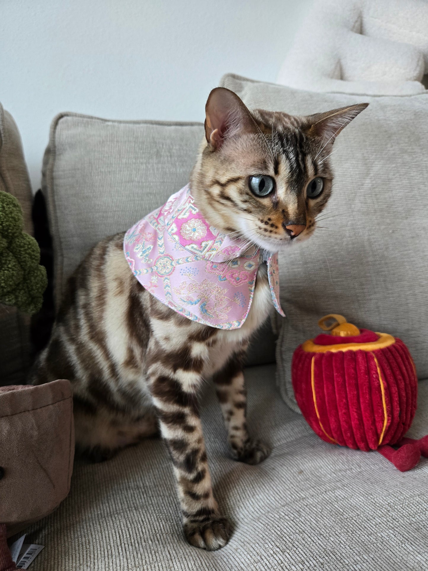 Dynasty Pavilion Silk Pet Bandana (reversible)