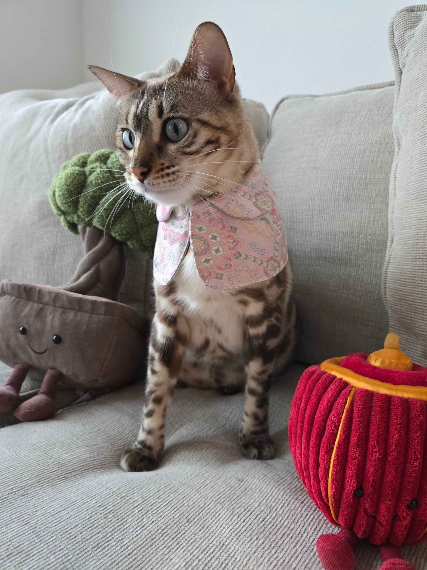 Dynasty Pavilion Silk Pet Bandana (reversible)