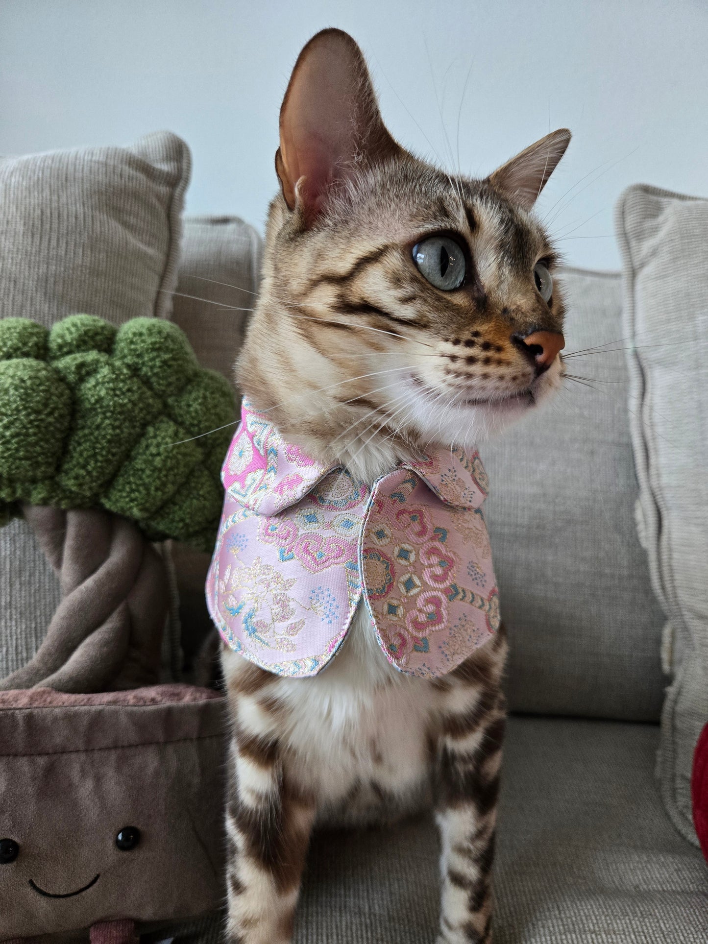 Dynasty Pavilion Silk Pet Bandana (reversible)