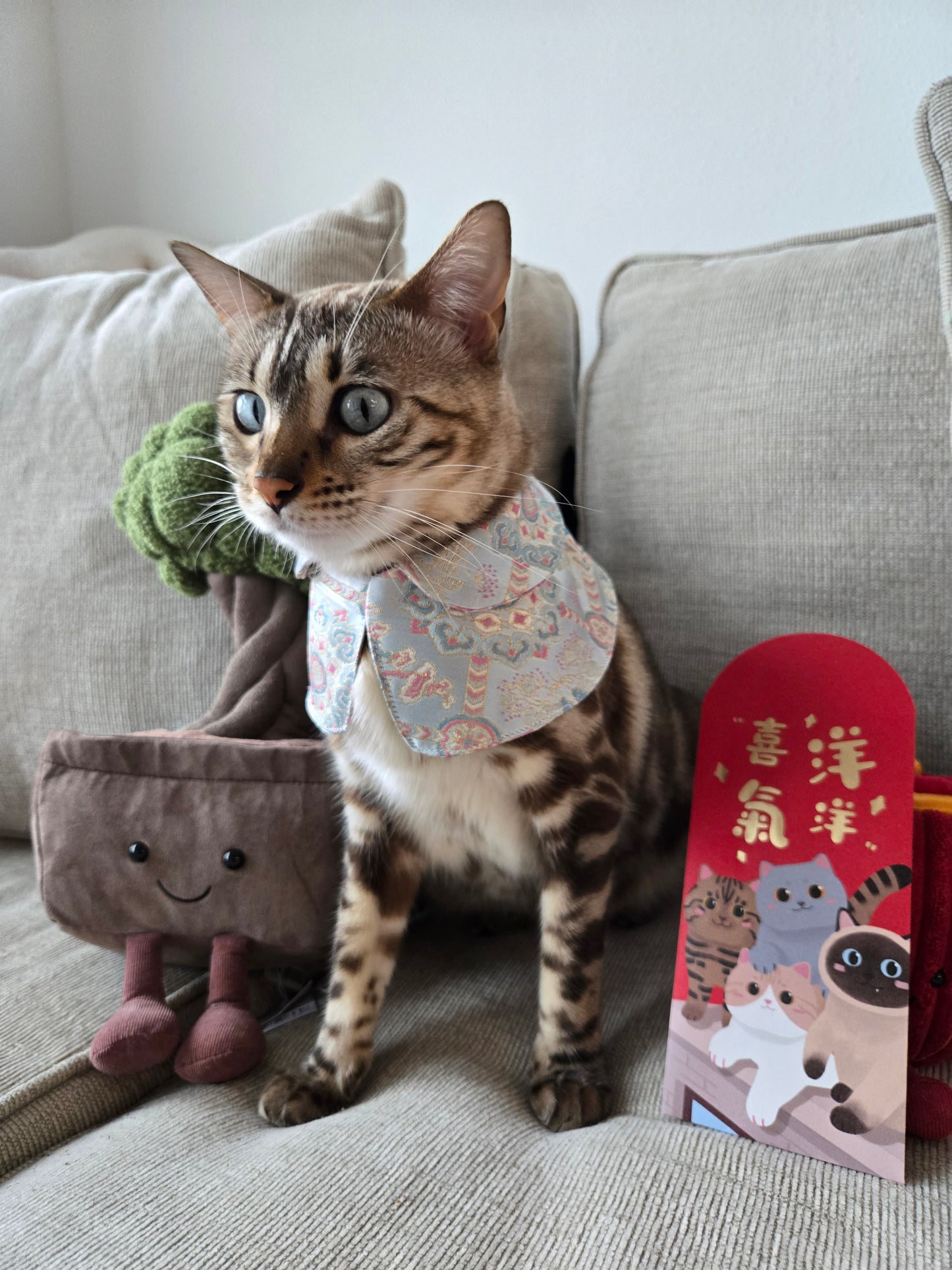 Dynasty Pavilion Silk Pet Bandana (reversible)