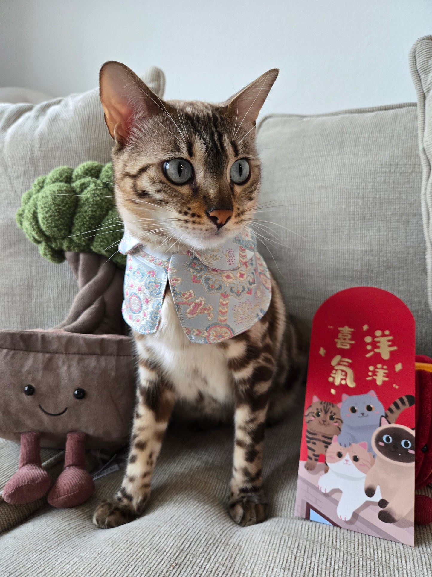 Dynasty Pavilion Silk Pet Bandana (reversible)