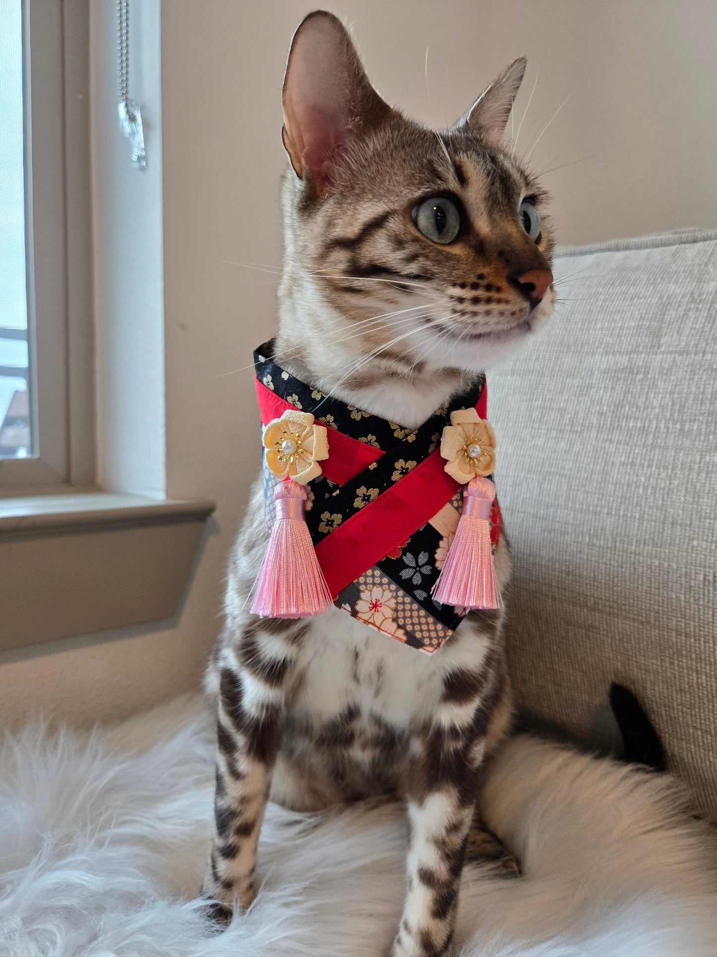 Kimono Pet Bandana
