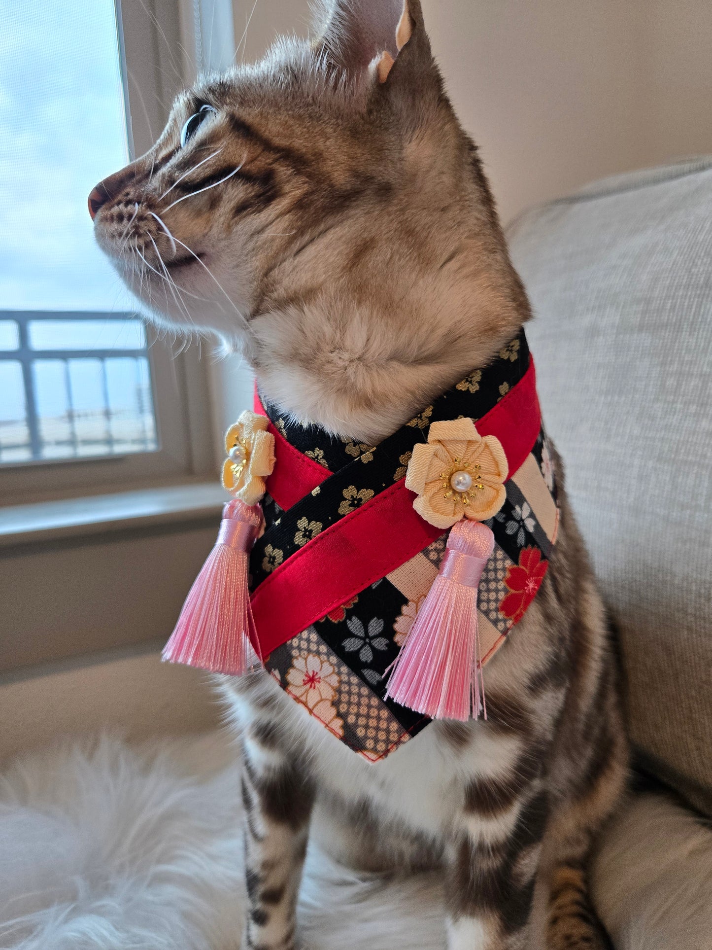 Kimono Pet Bandana