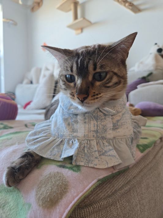 Penelope Pet Bandana