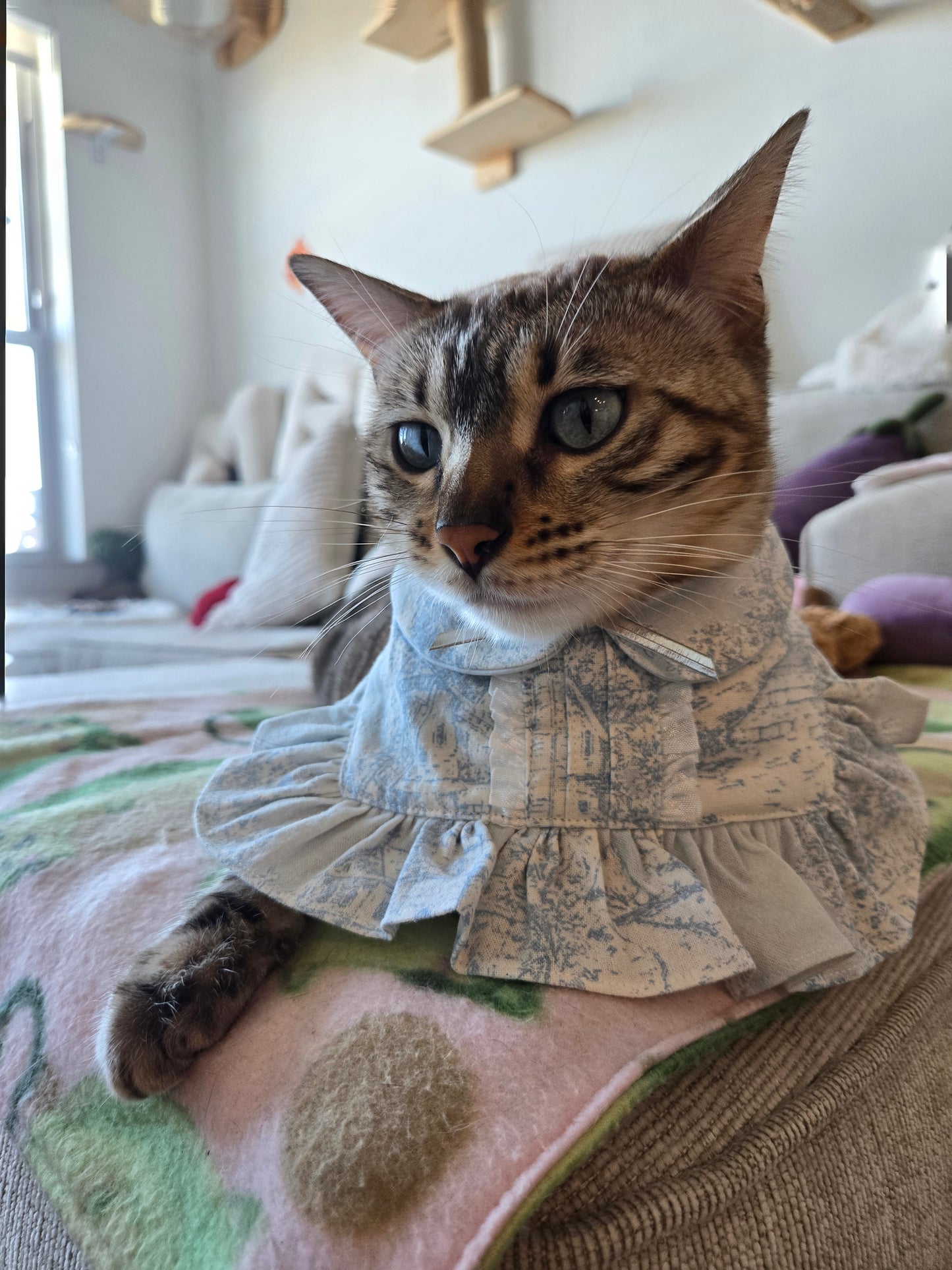 Penelope Pet Bandana