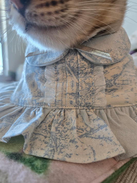 Penelope Pet Bandana