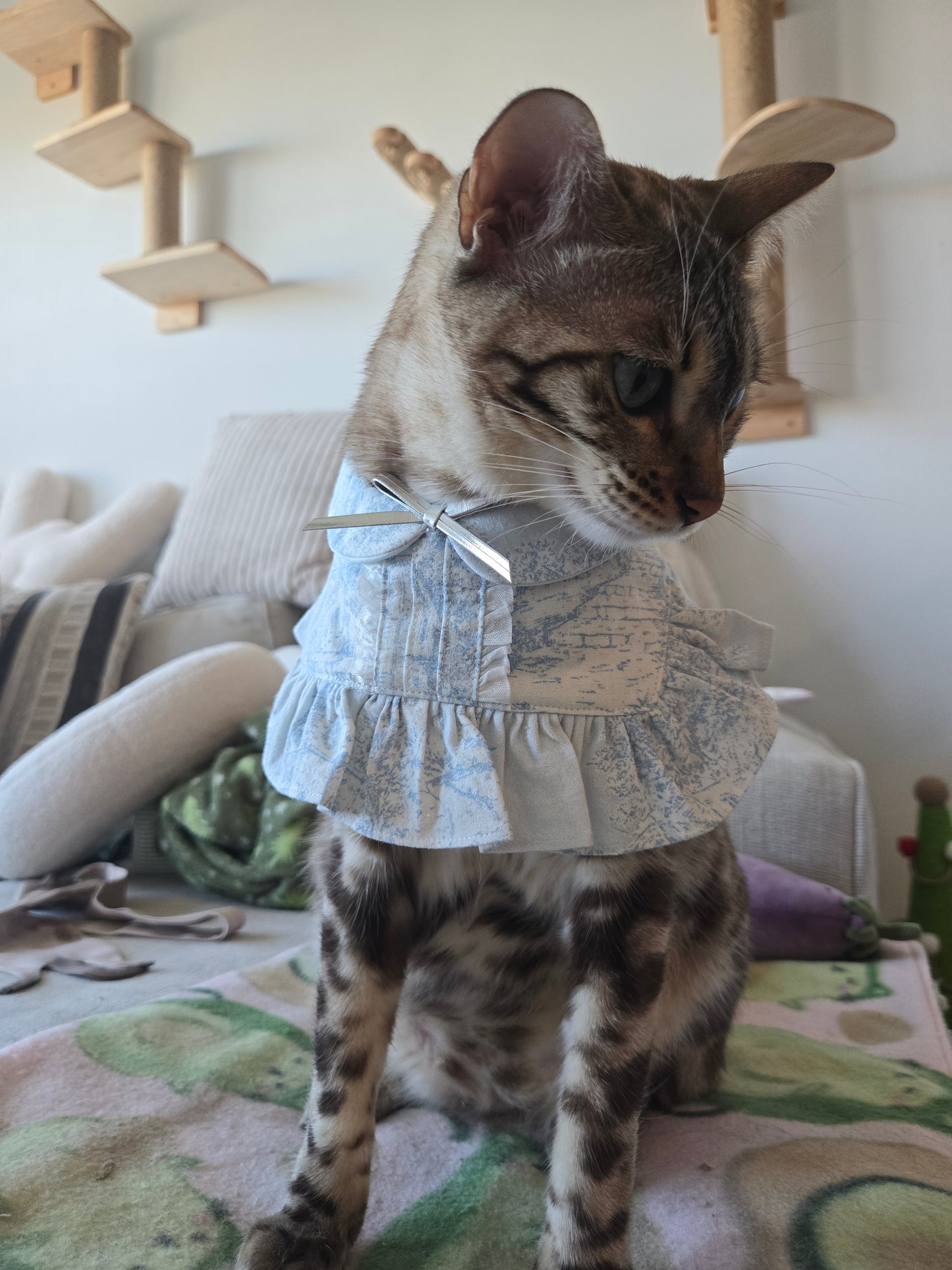 Penelope Pet Bandana