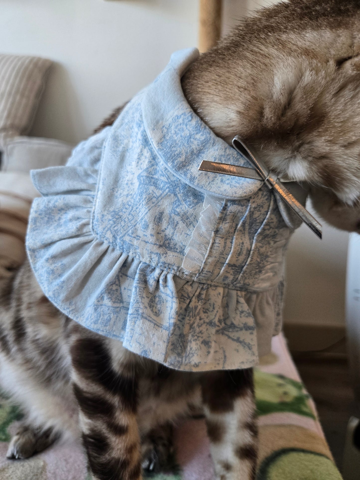 Penelope Pet Bandana