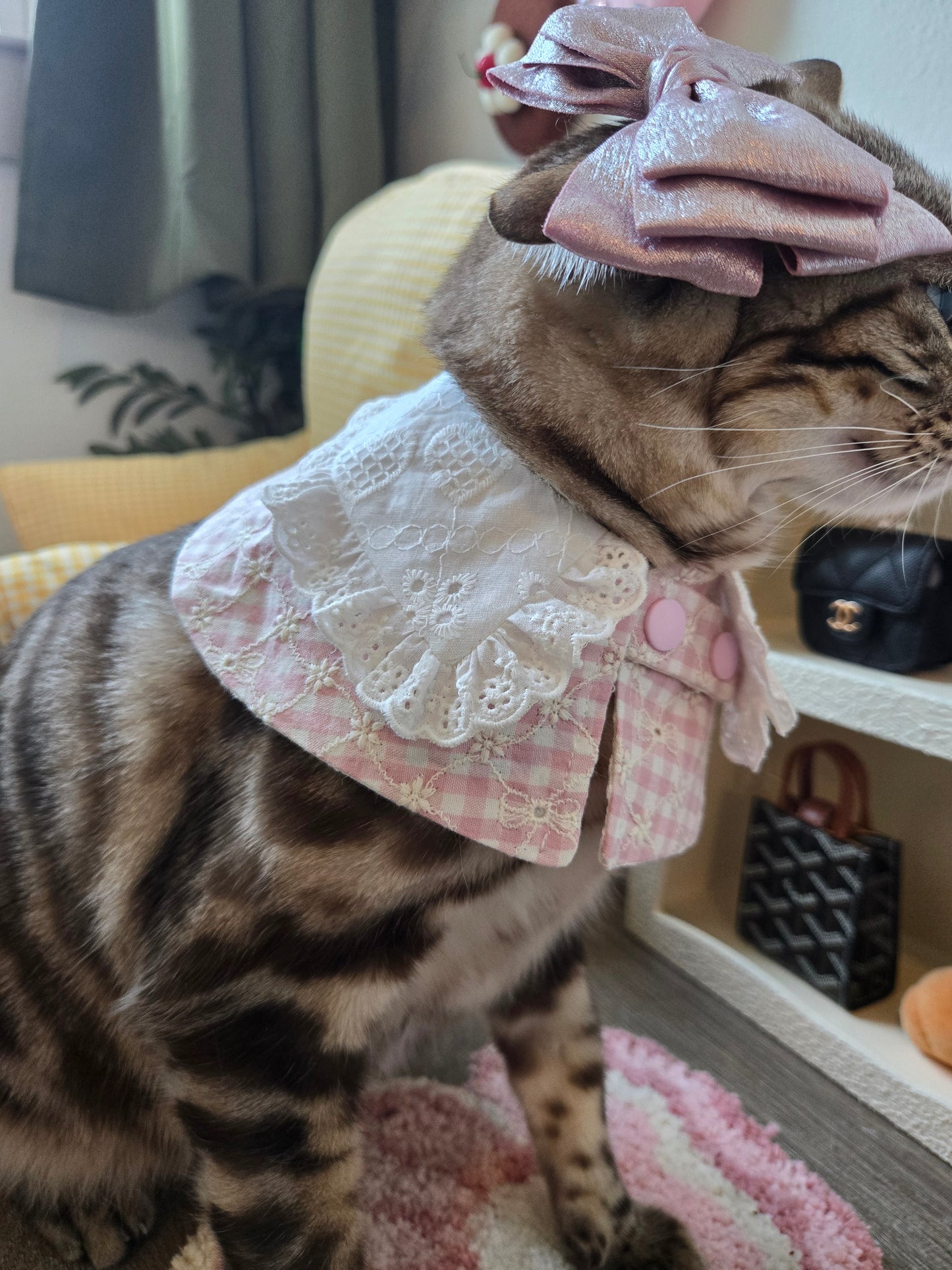 Hyacinth Pet Bandana