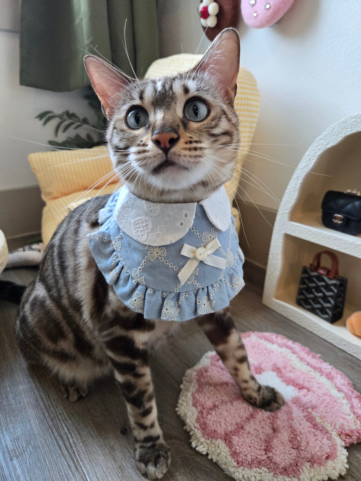 Francesca Pet Bandana