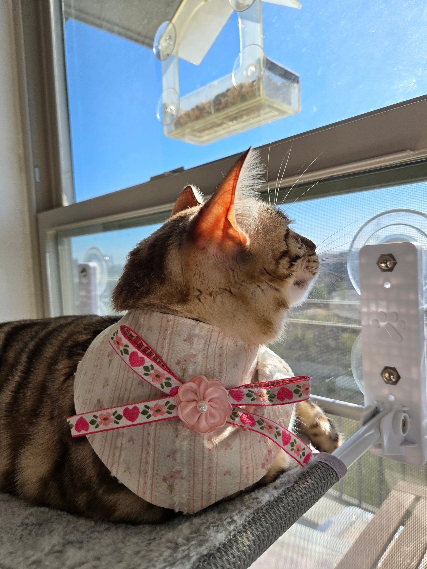 Violet Pet Bandana (4-way wear)