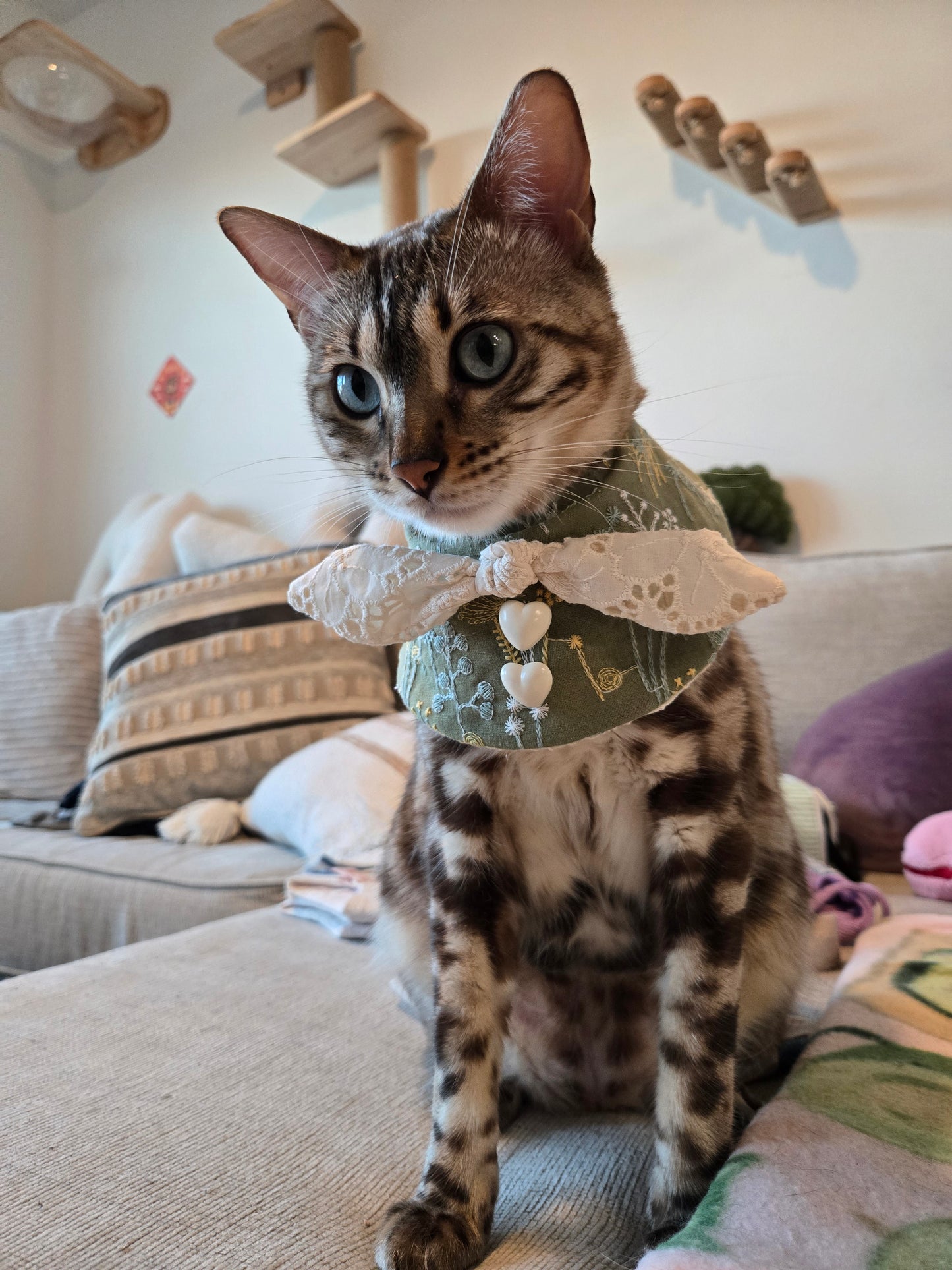 Eloise Pet Bandana (4-way wear)