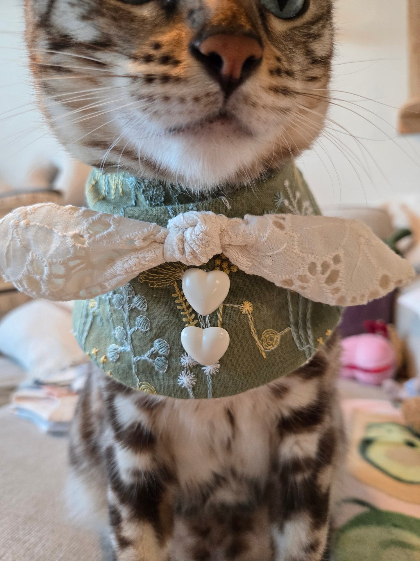 Eloise Pet Bandana (4-way wear)