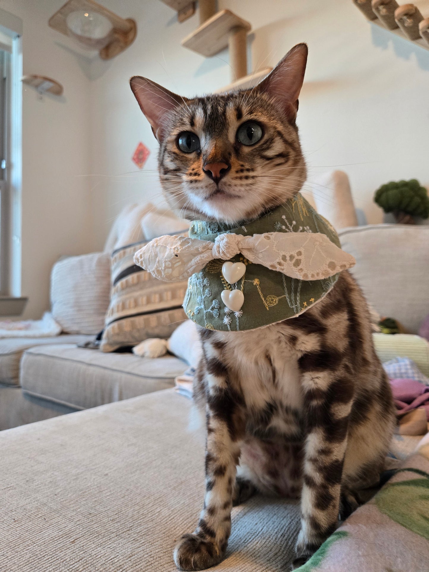 Eloise Pet Bandana (4-way wear)