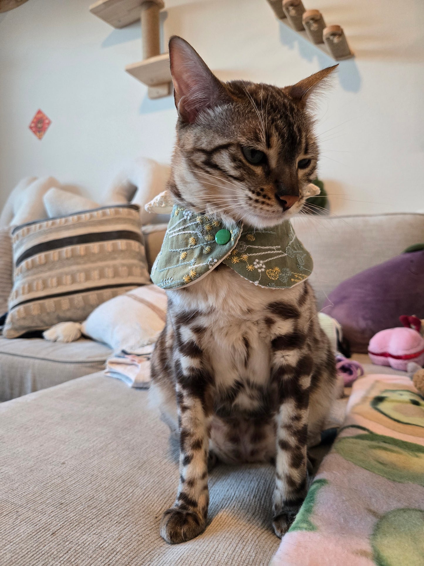 Eloise Pet Bandana (4-way wear)