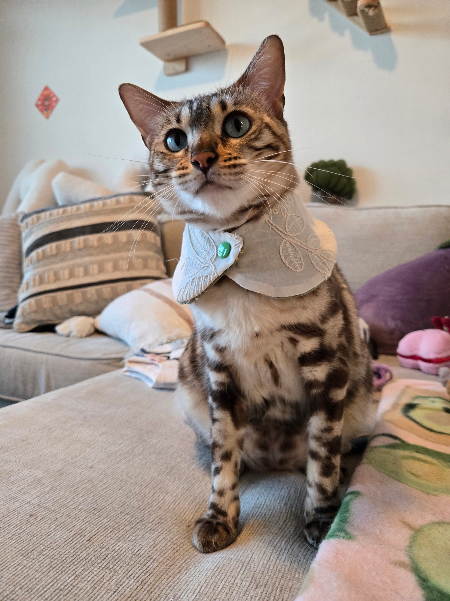 Eloise Pet Bandana (4-way wear)