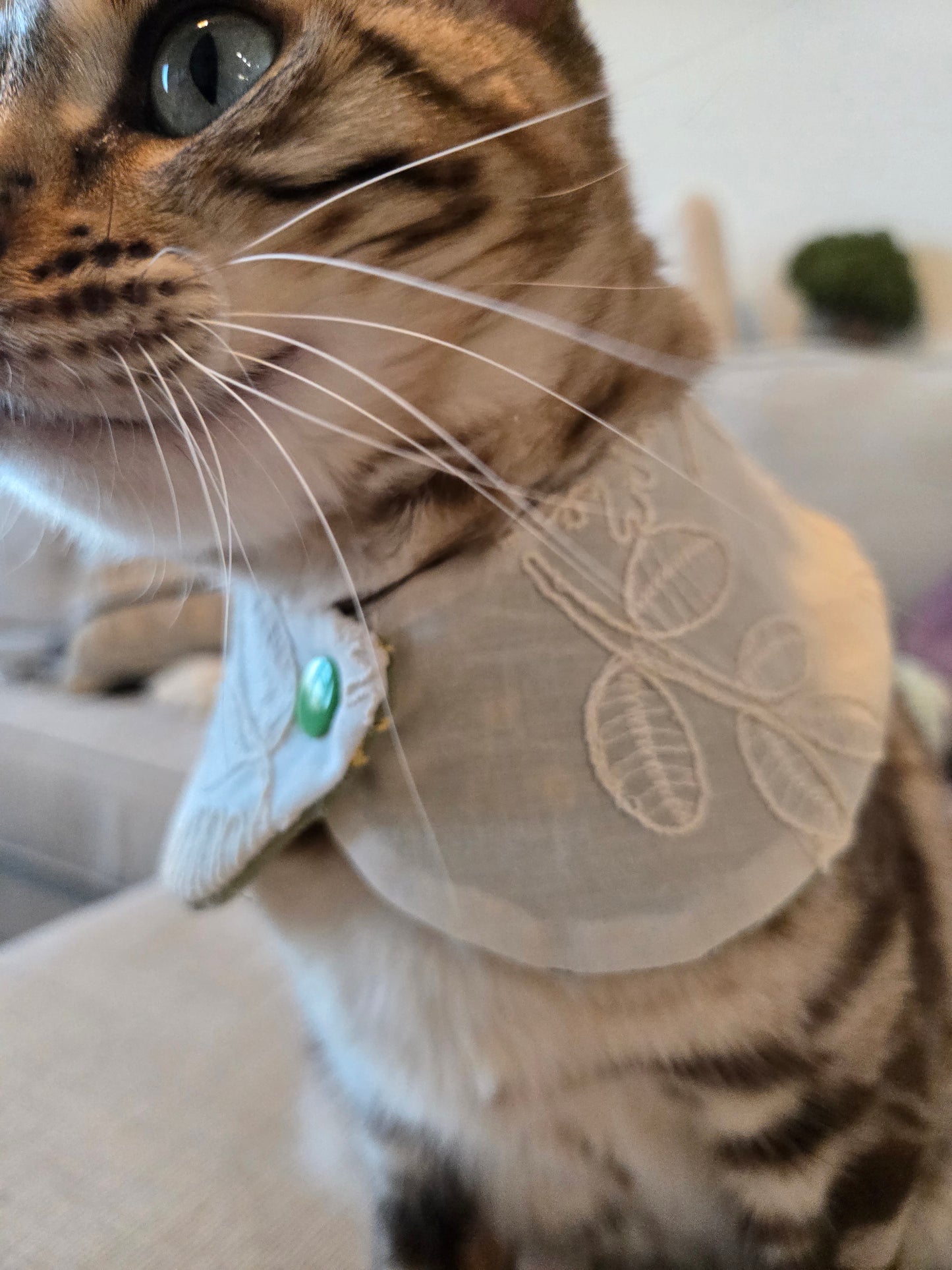 Eloise Pet Bandana (4-way wear)