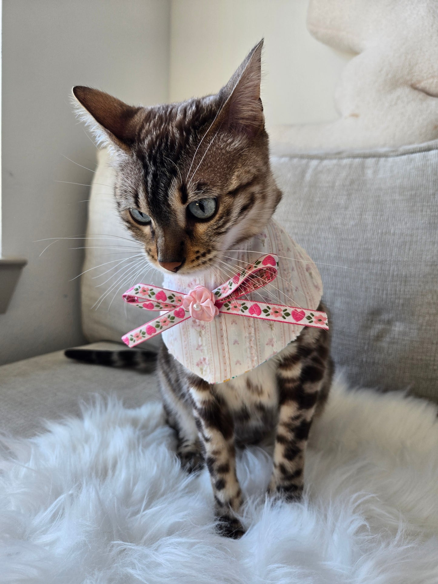 Violet Pet Bandana (4-way wear)