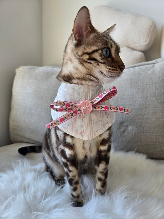 Violet Pet Bandana (4-way wear)