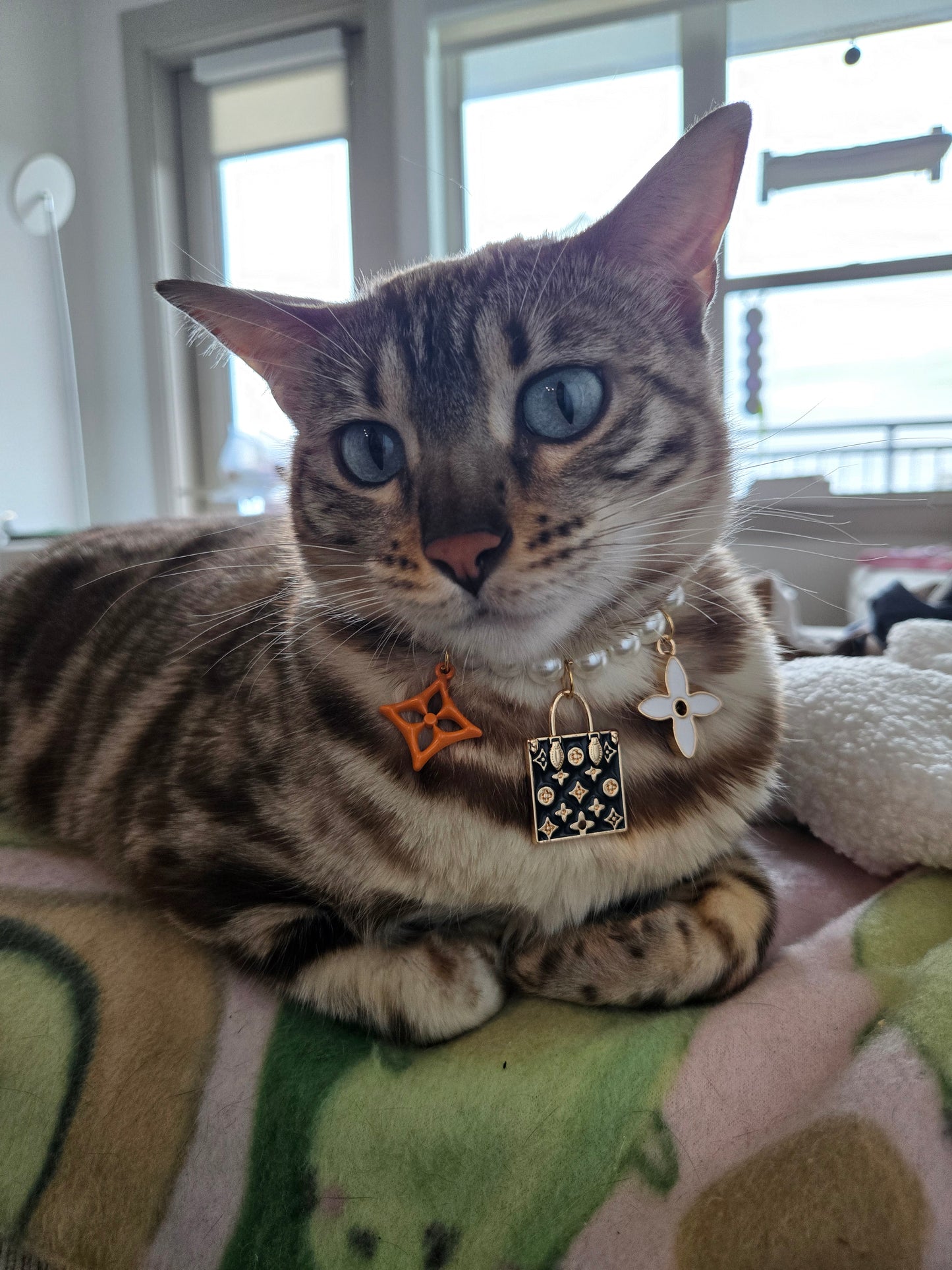 Louis Meowton Black Pet Necklace