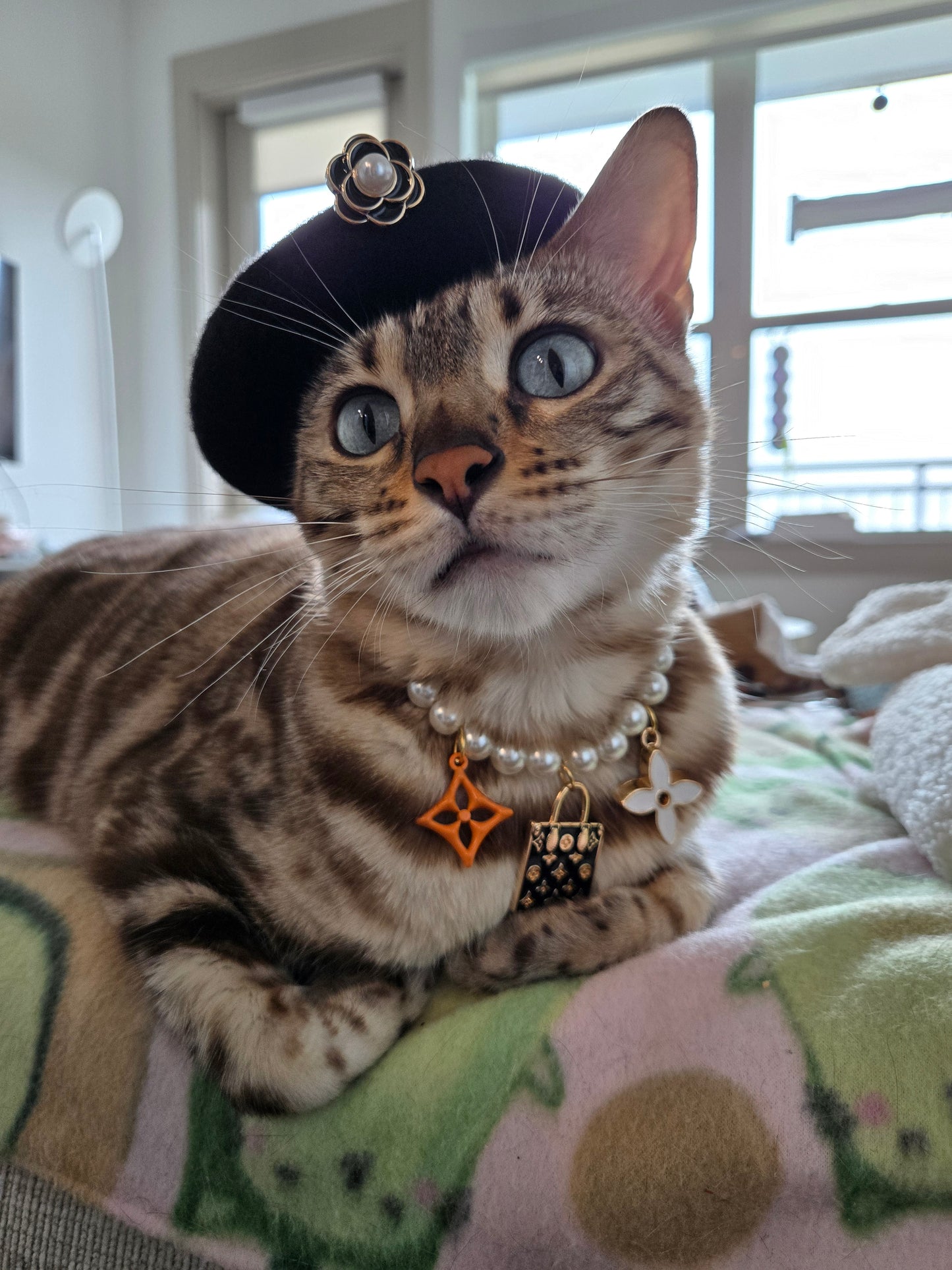 Louis Meowton Black Pet Necklace