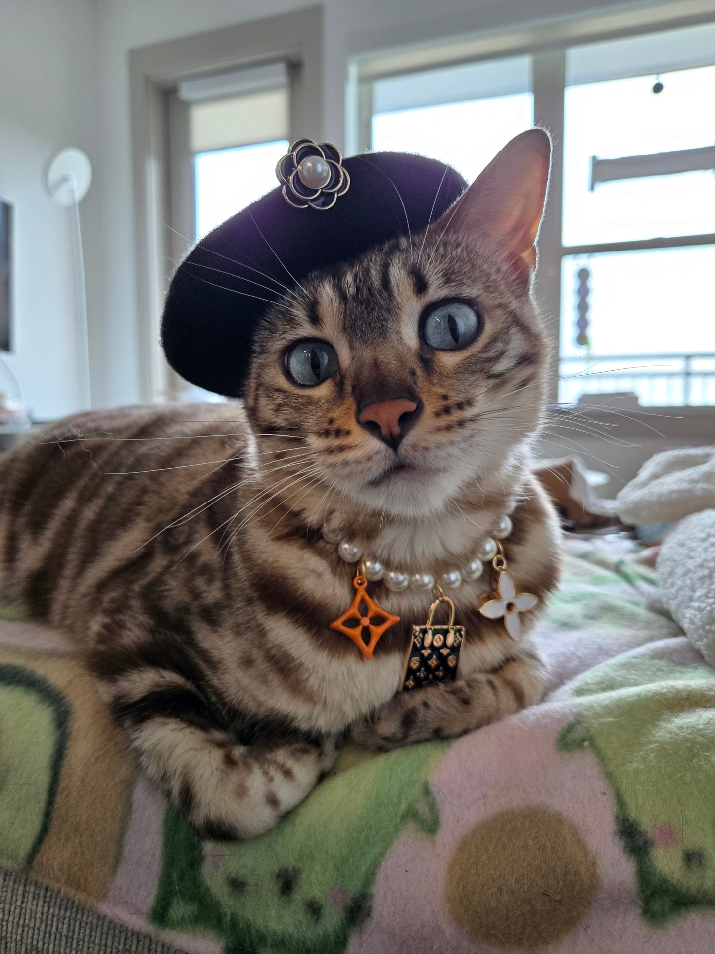 Louis Meowton Black Pet Necklace