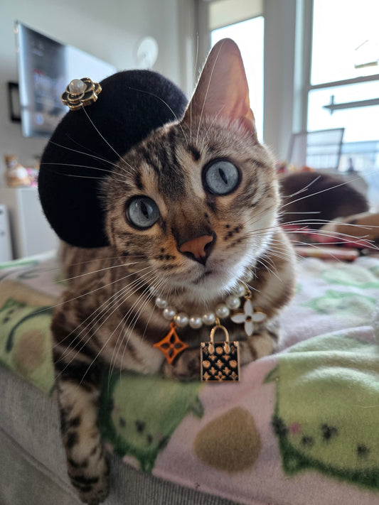 Louis Meowton Black Pet Necklace