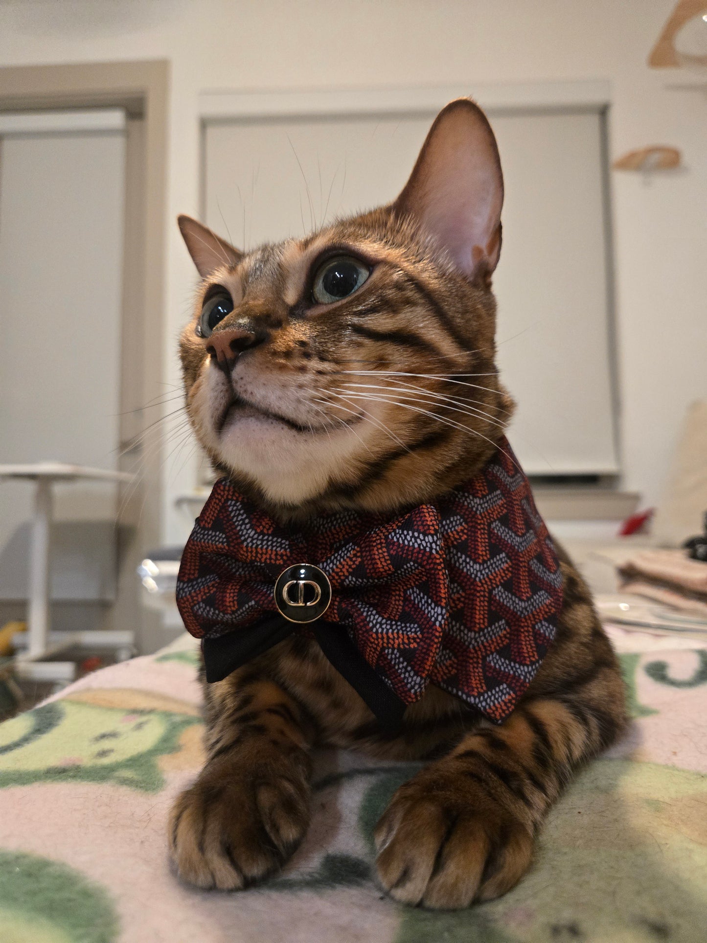 Grrryard Black tie Pet Bandana